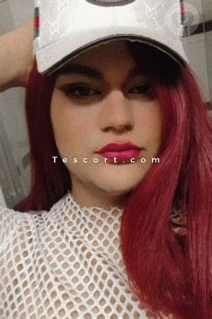 escort trans rennes|Escort Rennes, Escort Girl & Trans .